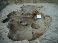 Cronica Cercetărilor Arheologice din România, Campania 2009. Raportul nr. 145, Negrileşti, Şcoala Generală (La Punte, Pin, Curtea Şcolii).<br /> Sectorul plansa-IMDA.<br /><a href='CronicaCAfotografii/2009/preventive/145/06-Complex-C7.jpg' target=_blank>Priveşte aceeaşi imagine într-o fereastră nouă</a>