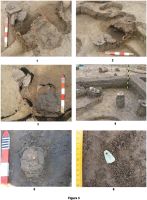 Cronica Cercetărilor Arheologice din România, Campania 2009. Raportul nr. 145, Negrileşti, Şcoala Generală (La Punte, Pin, Curtea Şcolii).<br /> Sectorul plansa-IMDA.<br /><a href='CronicaCAfotografii/2009/preventive/145/Fig3.jpg' target=_blank>Priveşte aceeaşi imagine într-o fereastră nouă</a>