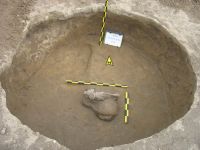 Cronica Cercetărilor Arheologice din România, Campania 2009. Raportul nr. 145, Negrileşti, Şcoala Generală (La Punte, Pin, Curtea Şcolii).<br /> Sectorul plansa-IMDA.<br /><a href='CronicaCAfotografii/2009/preventive/145/G-54.jpg' target=_blank>Priveşte aceeaşi imagine într-o fereastră nouă</a>