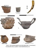 Cronica Cercetărilor Arheologice din România, Campania 2009. Raportul nr. 145, Negrileşti, Şcoala Generală (La Punte, Pin, Curtea Şcolii).<br /> Sectorul plansa-IMDA.<br /><a href='CronicaCAfotografii/2009/preventive/145/PL9.jpg' target=_blank>Priveşte aceeaşi imagine într-o fereastră nouă</a>