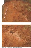 Cronica Cercetărilor Arheologice din România, Campania 2009. Raportul nr. 159, Sântana, Cetatea Veche-1<br /><a href='CronicaCAfotografii/2009/preventive/159/4-SANTANA-AR.jpg' target=_blank>Priveşte aceeaşi imagine într-o fereastră nouă</a>