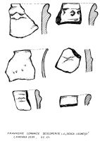 Cronica Cercetărilor Arheologice din România, Campania 2009. Raportul nr. 160, Seaca, Capul Dealului (Gura Secii)<br /><a href='CronicaCAfotografii/2009/preventive/160/3-SEACA-GJ-CapuDealului.jpg' target=_blank>Priveşte aceeaşi imagine într-o fereastră nouă</a>