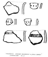 Cronica Cercetărilor Arheologice din România, Campania 2009. Raportul nr. 160, Seaca, Capul Dealului (Gura Secii)<br /><a href='CronicaCAfotografii/2009/preventive/160/9-SEACA-GJ-CapuDealului.jpg' target=_blank>Priveşte aceeaşi imagine într-o fereastră nouă</a>