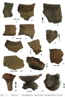 Cronica Cercetărilor Arheologice din România, Campania 2009. Raportul nr. 160, Seaca, Capul Dealului (Gura Secii)<br /><a href='CronicaCAfotografii/2009/preventive/160/seciu-ph-lapompieri-pl-2.jpg' target=_blank>Priveşte aceeaşi imagine într-o fereastră nouă</a>