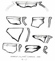 Cronica Cercetărilor Arheologice din România, Campania 2009. Raportul nr. 10, Bumbeşti-Jiu, Gară<br /><a href='CronicaCAfotografii/2009/sistematice/010/07-BUMBESTI-JIU-GJ-Gara.jpg' target=_blank>Priveşte aceeaşi imagine într-o fereastră nouă</a>