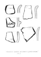 Cronica Cercetărilor Arheologice din România, Campania 2009. Raportul nr. 14, Ceplea, Biserica Dacilor (Valea Satului; Casa Cepleanu)<br /><a href='CronicaCAfotografii/2009/sistematice/014/02-ceplea-gj-valea-satului.jpg' target=_blank>Priveşte aceeaşi imagine într-o fereastră nouă</a>