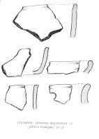 Cronica Cercetărilor Arheologice din România, Campania 2009. Raportul nr. 14, Ceplea, Biserica Dacilor (Valea Satului; Casa Cepleanu)<br /><a href='CronicaCAfotografii/2009/sistematice/014/10-ceplea-gj-valea-satului.jpg' target=_blank>Priveşte aceeaşi imagine într-o fereastră nouă</a>