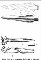 Chronicle of the Archaeological Excavations in Romania, 2009 Campaign. Report no. 19, Desa, La ruptură<br /><a href='CronicaCAfotografii/2009/sistematice/019/DESA-DJ-3.jpg' target=_blank>Display the same picture in a new window</a>