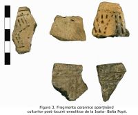 Cronica Cercetărilor Arheologice din România, Campania 2009. Raportul nr. 32, Isaiia, Balta Popii<br /><a href='CronicaCAfotografii/2009/sistematice/032/3-fragmente-ceramice.jpg' target=_blank>Priveşte aceeaşi imagine într-o fereastră nouă</a>