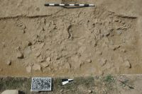 Cronica Cercetărilor Arheologice din România, Campania 2009. Raportul nr. 37, Lăpuş, Podanc („Podul Hotarului”)<br /><a href='CronicaCAfotografii/2009/sistematice/037/1-Lapus-tumulul-26-depunere-ceramica.jpg' target=_blank>Priveşte aceeaşi imagine într-o fereastră nouă</a>