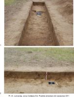 Chronicle of the Archaeological Excavations in Romania, 2009 Campaign. Report no. 39, Luncaviţa, Cetăţuia<br /><a href='CronicaCAfotografii/2009/sistematice/039/Pl-IX.jpg' target=_blank>Display the same picture in a new window</a>