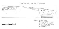 Cronica Cercetărilor Arheologice din România, Campania 2009. Raportul nr. 46, Murighiol, La Cetate (Bataraia).<br /> Sectorul SECTOR-TURNUL-11.<br /><a href='CronicaCAfotografii/2009/sistematice/046/7-murighiol-tl-halmyris-profiln-s1-2009.jpg' target=_blank>Priveşte aceeaşi imagine într-o fereastră nouă</a>