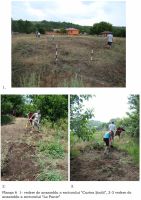 Cronica Cercetărilor Arheologice din România, Campania 2009. Raportul nr. 47, Negrileşti, Şcoala Generală (La Punte, Pin, Curtea Şcolii).<br /> Sectorul plansa-IMDA.<br /><a href='CronicaCAfotografii/2009/sistematice/047/06-NEGRILESTI-GL-CurteaScolii.jpg' target=_blank>Priveşte aceeaşi imagine într-o fereastră nouă</a>