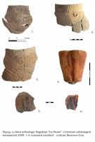 Cronica Cercetărilor Arheologice din România, Campania 2009. Raportul nr. 47, Negrileşti, Şcoala Generală (La Punte, Pin, Curtea Şcolii).<br /> Sectorul plansa-IMDA.<br /><a href='CronicaCAfotografii/2009/sistematice/047/10-NEGRILESTI-GL-CurteaScolii.jpg' target=_blank>Priveşte aceeaşi imagine într-o fereastră nouă</a>