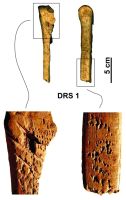 Cronica Cercetărilor Arheologice din România, Campania 2009. Raportul nr. 49, Ostrov, Ferma 4 (Regie)<br /><a href='CronicaCAfotografii/2009/sistematice/049/Beldiman-Elefterescu-Sztancs-IMDA-Ostrov-Durostorum-1.jpg' target=_blank>Priveşte aceeaşi imagine într-o fereastră nouă</a>