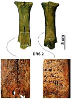 Cronica Cercetărilor Arheologice din România, Campania 2009. Raportul nr. 49, Ostrov, Ferma 4 (Regie)<br /><a href='CronicaCAfotografii/2009/sistematice/049/Beldiman-Elefterescu-Sztancs-IMDA-Ostrov-Durostorum-2.jpg' target=_blank>Priveşte aceeaşi imagine într-o fereastră nouă</a>