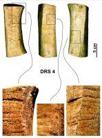 Cronica Cercetărilor Arheologice din România, Campania 2009. Raportul nr. 49, Ostrov, Ferma 4 (Regie)<br /><a href='CronicaCAfotografii/2009/sistematice/049/Beldiman-Elefterescu-Sztancs-IMDA-Ostrov-Durostorum-4a.jpg' target=_blank>Priveşte aceeaşi imagine într-o fereastră nouă</a>