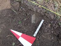 Cronica Cercetărilor Arheologice din România, Campania 2009. Raportul nr. 52, Pănade, Tăul Pănăzii<br /><a href='CronicaCAfotografii/2009/sistematice/052/1-PANADE-AB-Saraturi.JPG' target=_blank>Priveşte aceeaşi imagine într-o fereastră nouă</a>