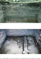 Cronica Cercetărilor Arheologice din România, Campania 2009. Raportul nr. 55, Pietroasa Mică, Gruiu Dării<br /><a href='CronicaCAfotografii/2009/sistematice/055/1-PIETROASA-MICA-BZ-GruiuDarii.jpg' target=_blank>Priveşte aceeaşi imagine într-o fereastră nouă</a>