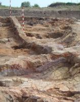 Cronica Cercetărilor Arheologice din România, Campania 2009. Raportul nr. 58, Poduri, Dealul Ghindarului (Rusăieşti)<br /><a href='CronicaCAfotografii/2009/sistematice/058/4Locuinta-9-nivelul-podelei.jpg' target=_blank>Priveşte aceeaşi imagine într-o fereastră nouă</a>