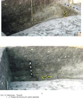 Cronica Cercetărilor Arheologice din România, Campania 2009. Raportul nr. 63, Rîmnicelu, Popina<br /><a href='CronicaCAfotografii/2009/sistematice/063/10Ramnicelu-santul-palisadei.JPG' target=_blank>Priveşte aceeaşi imagine într-o fereastră nouă</a>
