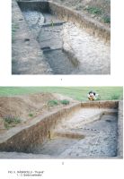 Cronica Cercetărilor Arheologice din România, Campania 2009. Raportul nr. 63, Rîmnicelu, Popina<br /><a href='CronicaCAfotografii/2009/sistematice/063/5Ramnicelu-santul-palisadei.JPG' target=_blank>Priveşte aceeaşi imagine într-o fereastră nouă</a>