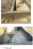 Cronica Cercetărilor Arheologice din România, Campania 2009. Raportul nr. 63, Rîmnicelu, Popina<br /><a href='CronicaCAfotografii/2009/sistematice/063/6Ramnicelu-santul-palisadei.JPG' target=_blank>Priveşte aceeaşi imagine într-o fereastră nouă</a>