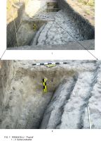 Cronica Cercetărilor Arheologice din România, Campania 2009. Raportul nr. 63, Rîmnicelu, Popina<br /><a href='CronicaCAfotografii/2009/sistematice/063/7Ramnicelu-santul-palisadei.JPG' target=_blank>Priveşte aceeaşi imagine într-o fereastră nouă</a>