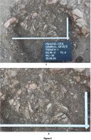 Cronica Cercetărilor Arheologice din România, Campania 2009. Raportul nr. 77, Păuleni-Ciuc, Dâmbul Cetăţii (Dealul Cetăţii, Vardomb).<br /> Sectorul album2.<br /><a href='CronicaCAfotografii/2009/sistematice/077/5-SOIMENI-CIOMORTAN-HR.jpg' target=_blank>Priveşte aceeaşi imagine într-o fereastră nouă</a>