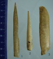 Cronica Cercetărilor Arheologice din România, Campania 2009. Raportul nr. 77, Păuleni-Ciuc, Dâmbul Cetăţii (Dealul Cetăţii, Vardomb).<br /> Sectorul album2.<br /><a href='CronicaCAfotografii/2009/sistematice/077/Sztancs-Beldiman-Soimeni-1.jpg' target=_blank>Priveşte aceeaşi imagine într-o fereastră nouă</a>