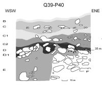 Cronica Cercetărilor Arheologice din România, Campania 2009. Raportul nr. 81, Târguşor, La Adam<br /><a href='CronicaCAfotografii/2009/sistematice/081/3-La-Adam-2009-Sectorul-EG-Q39-P40.jpg' target=_blank>Priveşte aceeaşi imagine într-o fereastră nouă</a>