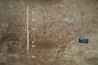 Cronica Cercetărilor Arheologice din România, Campania 2009. Raportul nr. 81, Târguşor, La Adam<br /><a href='CronicaCAfotografii/2009/sistematice/081/4-La-Adam-Sectorul-EG-P41-P42.jpg' target=_blank>Priveşte aceeaşi imagine într-o fereastră nouă</a>