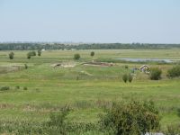 Cronica Cercetărilor Arheologice din România, Campania 2009. Raportul nr. 90, Vitanesti, La Măgurice (Teleor 007)<br /><a href='CronicaCAfotografii/2009/sistematice/090/1VITANESTI-TR-Magurice.jpg' target=_blank>Priveşte aceeaşi imagine într-o fereastră nouă</a>