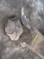 Cronica Cercetărilor Arheologice din România, Campania 2009. Raportul nr. 90, Vitanesti, La Măgurice (Teleor 007)<br /><a href='CronicaCAfotografii/2009/sistematice/090/4VITANESTI-TR-Magurice.jpg' target=_blank>Priveşte aceeaşi imagine într-o fereastră nouă</a>