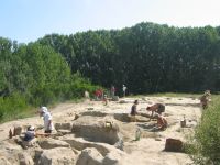 Cronica Cercetărilor Arheologice din România, Campania 2010. Raportul nr. 6, Borduşani, Popina Mare (Popina Borduşani)<br /><a href='CronicaCAfotografii/2010/006/01.JPG' target=_blank>Priveşte aceeaşi imagine într-o fereastră nouă</a>