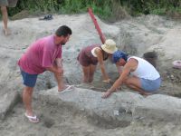 Cronica Cercetărilor Arheologice din România, Campania 2010. Raportul nr. 6, Borduşani, Popina Mare (Popina Borduşani)<br /><a href='CronicaCAfotografii/2010/006/03.JPG' target=_blank>Priveşte aceeaşi imagine într-o fereastră nouă</a>