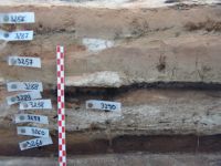 Cronica Cercetărilor Arheologice din România, Campania 2010. Raportul nr. 6, Borduşani, Popina Mare (Popina Borduşani)<br /><a href='CronicaCAfotografii/2010/006/08.JPG' target=_blank>Priveşte aceeaşi imagine într-o fereastră nouă</a>