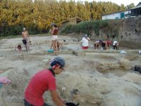 Cronica Cercetărilor Arheologice din România, Campania 2010. Raportul nr. 6, Borduşani, Popina Mare (Popina Borduşani)<br /><a href='CronicaCAfotografii/2010/006/09.JPG' target=_blank>Priveşte aceeaşi imagine într-o fereastră nouă</a>