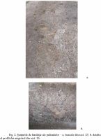 Cronica Cercetărilor Arheologice din România, Campania 2010. Raportul nr. 7, Bucşani, La Pod<br /><a href='CronicaCAfotografii/2010/007/101387-01-Bucsani-GR-2.jpg' target=_blank>Priveşte aceeaşi imagine într-o fereastră nouă</a>