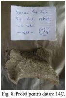 Cronica Cercetărilor Arheologice din România, Campania 2010. Raportul nr. 7, Bucşani, La Pod<br /><a href='CronicaCAfotografii/2010/007/101387-01-Bucsani-GR-8.jpg' target=_blank>Priveşte aceeaşi imagine într-o fereastră nouă</a>