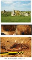 Chronicle of the Archaeological Excavations in Romania, 2010 Campaign. Report no. 13, Cheia, Vatra satului.<br /> Sector ILUSTRATIE-CHEIA-2017.<br /><a href='CronicaCAfotografii/2010/013/63018-Cheia-Ct-3.JPG' target=_blank>Display the same picture in a new window</a>