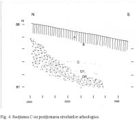 Cronica Cercetărilor Arheologice din România, Campania 2010. Raportul nr. 14, Ciuperceni, La vii<br /><a href='CronicaCAfotografii/2010/014/151718-02-Ciuperceni-TR-4.JPG' target=_blank>Priveşte aceeaşi imagine într-o fereastră nouă</a>