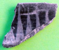 Cronica Cercetărilor Arheologice din România, Campania 2010. Raportul nr. 46, Petreştii De Jos, Cheile Turzii, Peştera Ungurească, Peştera Binder<br /><a href='CronicaCAfotografii/2010/046/55295-05-Cheile-Turzi-2Ba2-8056-7.JPG' target=_blank>Priveşte aceeaşi imagine într-o fereastră nouă</a>