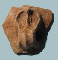 Cronica Cercetărilor Arheologice din România, Campania 2010. Raportul nr. 46, Petreştii De Jos, Cheile Turzii, Peştera Ungurească, Peştera Binder<br /><a href='CronicaCAfotografii/2010/046/55295-05-Cheile-Turzi-2Bb2-5.JPG' target=_blank>Priveşte aceeaşi imagine într-o fereastră nouă</a>