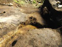 Cronica Cercetărilor Arheologice din România, Campania 2010. Raportul nr. 46, Petreştii De Jos, Cheile Turzii, Peştera Ungurească, Peştera Binder<br /><a href='CronicaCAfotografii/2010/046/55295-05-Cheile-Turzi-Argila-guano-la-podele-14.JPG' target=_blank>Priveşte aceeaşi imagine într-o fereastră nouă</a>