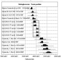 Cronica Cercetărilor Arheologice din România, Campania 2010. Raportul nr. 46, Petreştii De Jos, Cheile Turzii, Peştera Ungurească, Peştera Binder<br /><a href='CronicaCAfotografii/2010/046/55295-05-Cheile-Turzi-C14-19.jpg' target=_blank>Priveşte aceeaşi imagine într-o fereastră nouă</a>