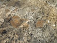 Cronica Cercetărilor Arheologice din România, Campania 2010. Raportul nr. 46, Petreştii De Jos, Cheile Turzii, Peştera Ungurească, Peştera Binder<br /><a href='CronicaCAfotografii/2010/046/55295-05-Cheile-Turzi-Structura-vatra-2.JPG' target=_blank>Priveşte aceeaşi imagine într-o fereastră nouă</a>