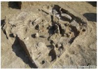 Cronica Cercetărilor Arheologice din România, Campania 2010. Raportul nr. 48, Pietrele, Gorgana<br /><a href='CronicaCAfotografii/2010/048/101038-01-Pietrele-GR-6.jpg' target=_blank>Priveşte aceeaşi imagine într-o fereastră nouă</a>