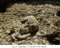 Cronica Cercetărilor Arheologice din România, Campania 2010. Raportul nr. 48, Pietrele, Gorgana<br /><a href='CronicaCAfotografii/2010/048/101038-01-Pietrele-GR-8.jpg' target=_blank>Priveşte aceeaşi imagine într-o fereastră nouă</a>