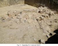 Cronica Cercetărilor Arheologice din România, Campania 2010. Raportul nr. 48, Pietrele, Gorgana<br /><a href='CronicaCAfotografii/2010/048/101038-01-Pietrele-GR-9.jpg' target=_blank>Priveşte aceeaşi imagine într-o fereastră nouă</a>